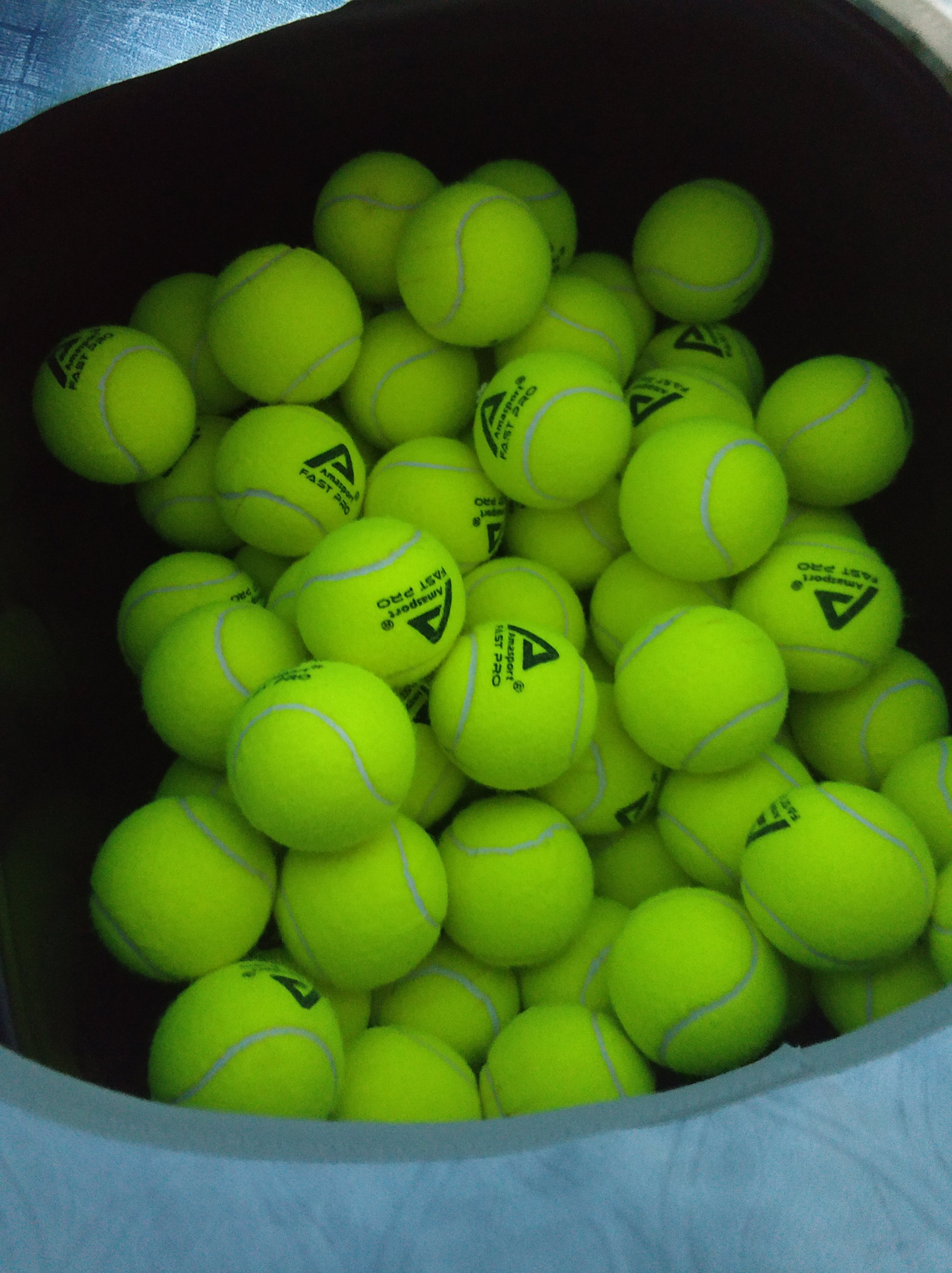 每个人都清 每个人都清